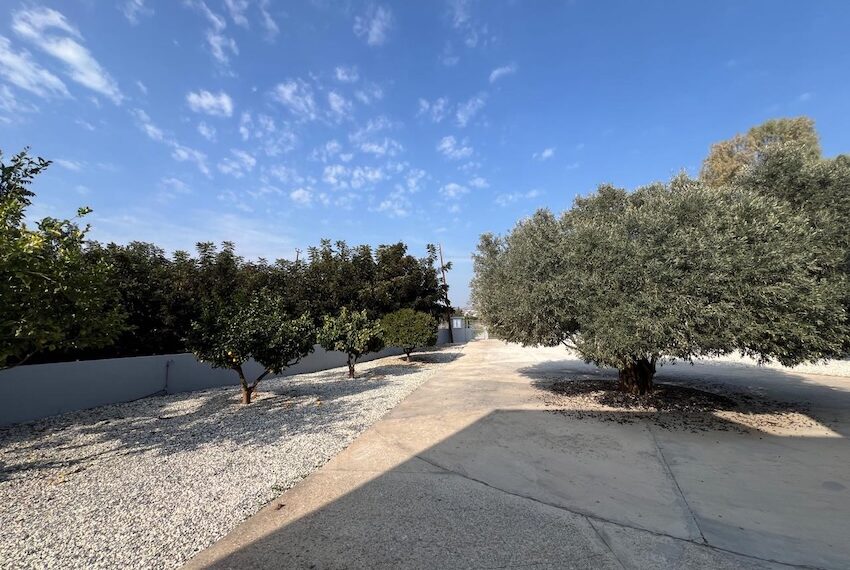 Villa for sale on large plot Paphos_33